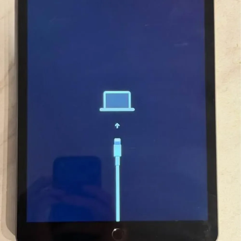 Apple iPad